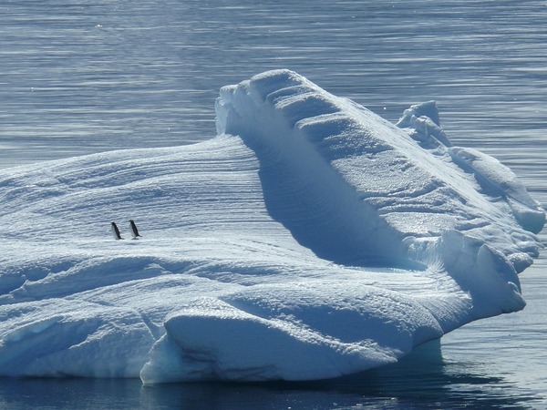 iceberg-329852_960_720