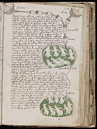 200px-Voynich_Manuscript_(141)
