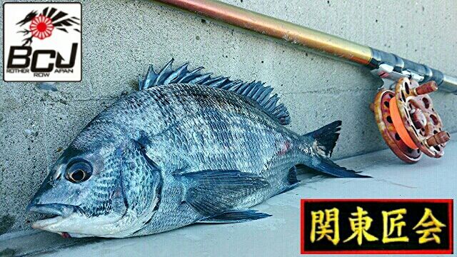 がまかつ》銀参郎アルティメイト MH300 インプレ : 【黒鯛師
