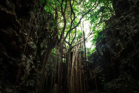 okinawaDSC_2024_TP_V1
