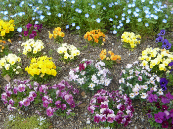 花
