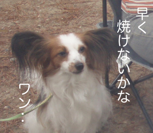 早く