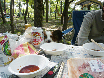 BBQ
