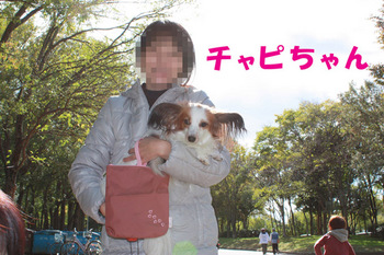 めぐママさん