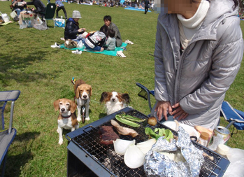 じー