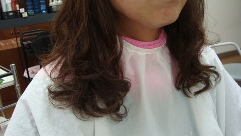 DSC09311