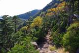 61 下山道