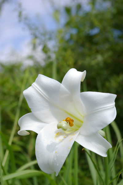 IMGP6253-1