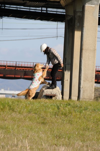 20120106_4