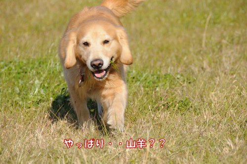 20120106_2