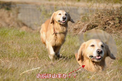 20120106_1
