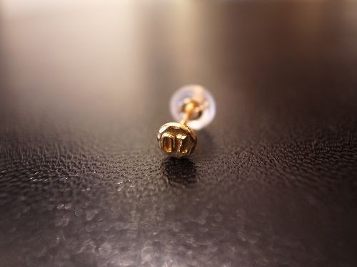 コピー ~ R7303024