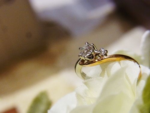 RIMG1507 (500x375)