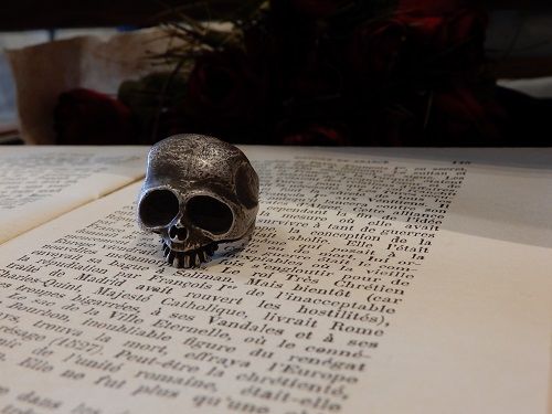 ゴールドキッド スネークトップ goldkid シルバー スカル GOLD KID大阪店スタートです！ : CHARCOAL*GREEN BLOG NEWS