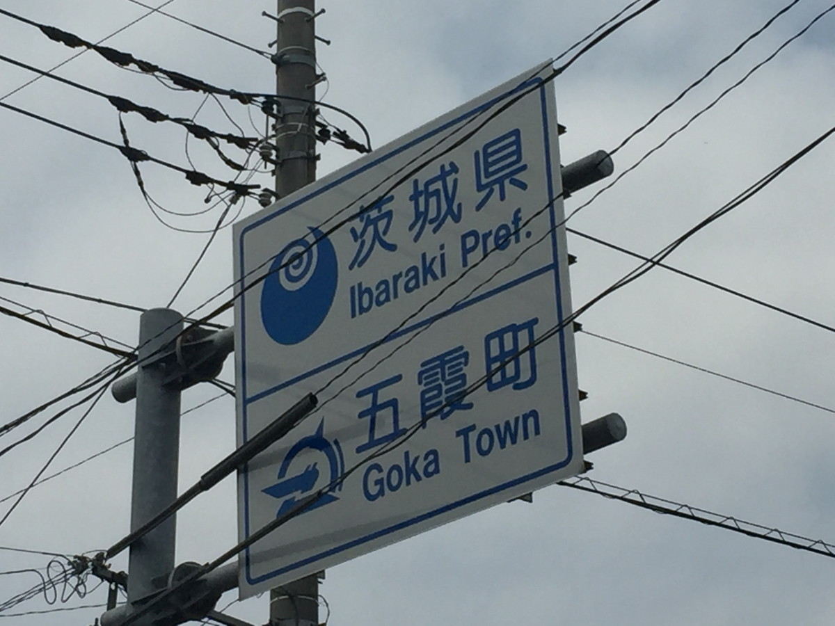 edosaitonesai (3)