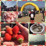 12799298_585595564923327_5813412537143289506_n