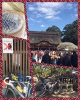 1450666_582795158536701_3352266812954990493_n