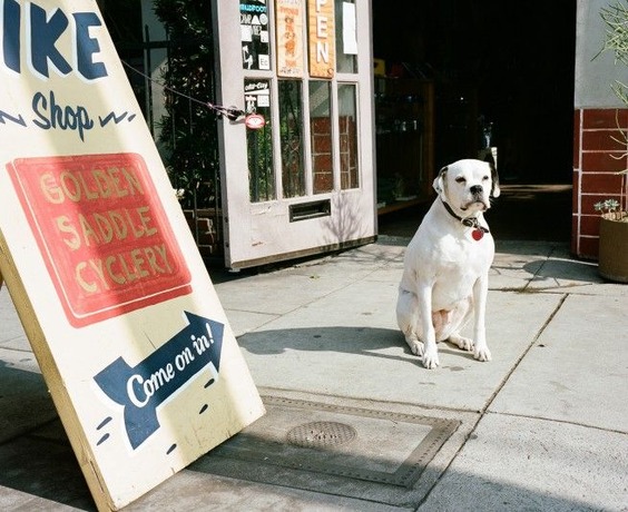 Mamiya_Randomness_Shops-12-655x534