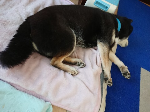 19-01-27-15-20-28-621_photo