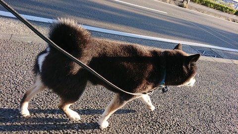 DSCPDC_0000_BURST20181214075549091