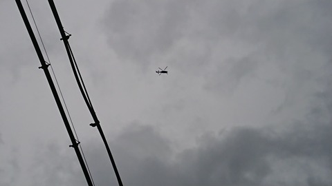 DSC_3291