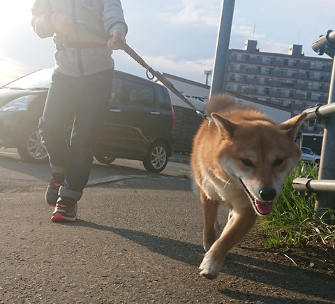 _20180504_175728