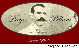 diego-pellicer-logo1