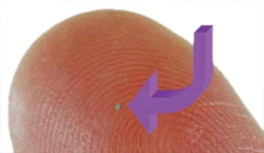 o0385022412241760392