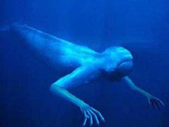 ningen