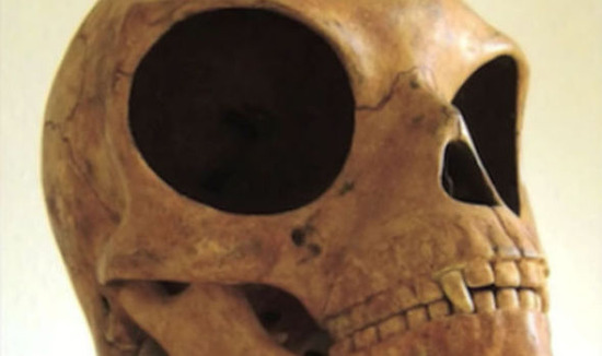 Sea-Land-skull-690920