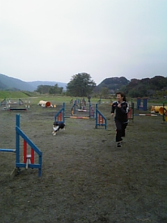 8d3b8299.jpg