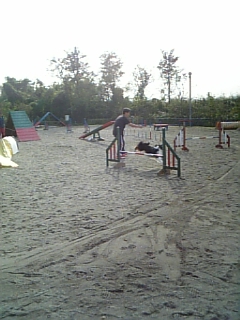 d15463ca.jpg