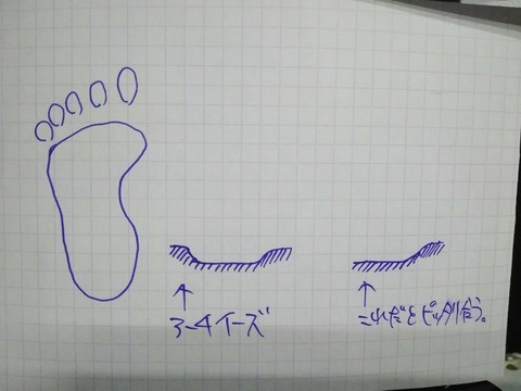 6662790091213