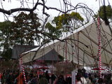 梅花祭