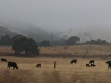 IMG_1374