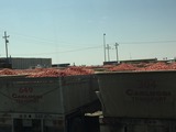IMG_1418