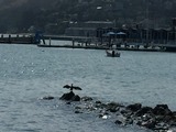 IMG_1603