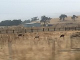 IMG_1365