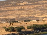 IMG_1397