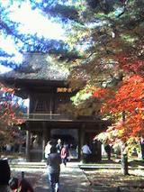 koyo-keitai2