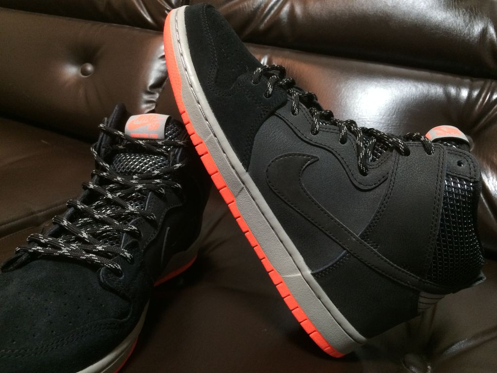 dunk high prm shield