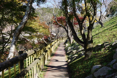 DSC01868