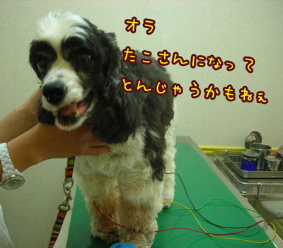 DSCN2187