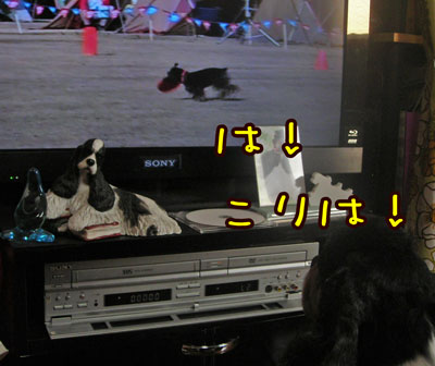DSCN2548