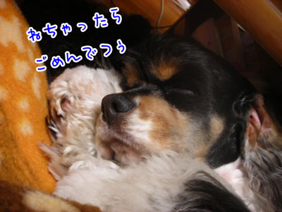 DSCN2515