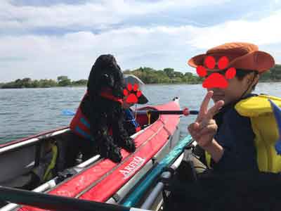 32395226_1539485616178061_3