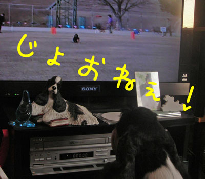 DSCN2554