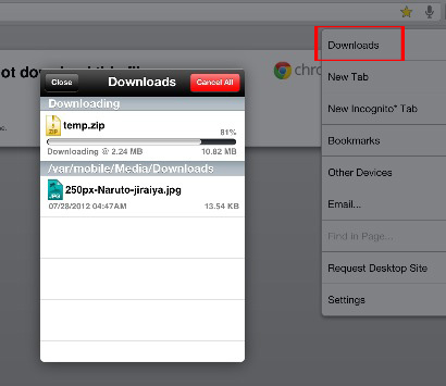 Chrome Download Maneger