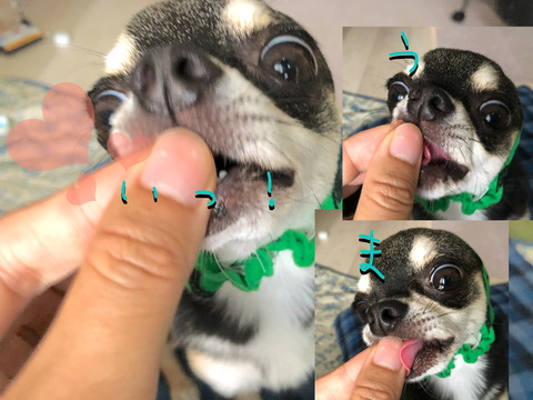 E076DBA9-3D6E-4FDF-B089-B7C672B07FD7