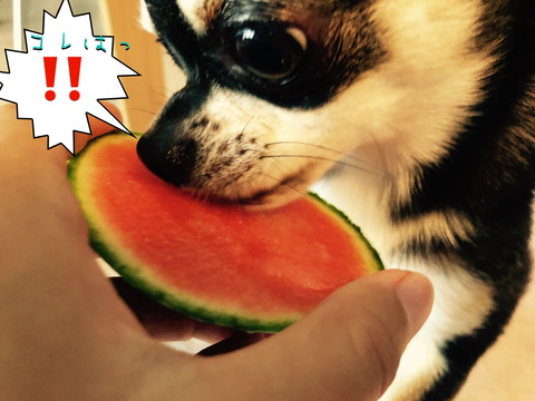 40EE6814-FAC8-4BAF-B744-FFF355D89A40